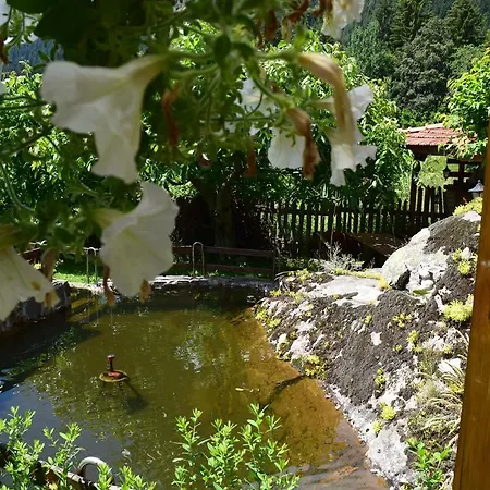 Kabasanov * Smolyan