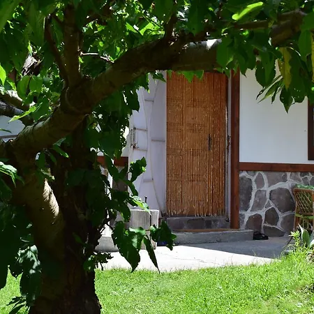 Kabasanov Holiday home