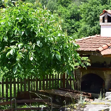 Kabasanov Holiday home *