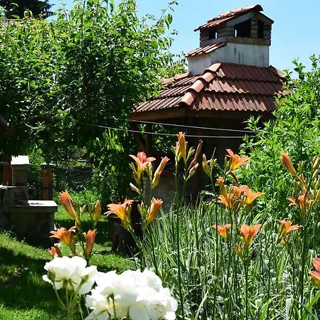Kabasanov Smolyan