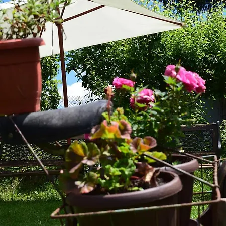 Holiday home Kabasanov