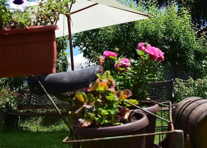 Holiday home Kabasanov